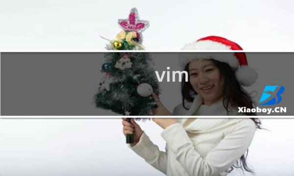 vim 实用技巧 第二版