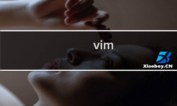 vim 怎么切换插件