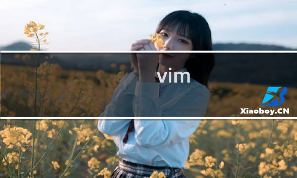 vim 怎么切换