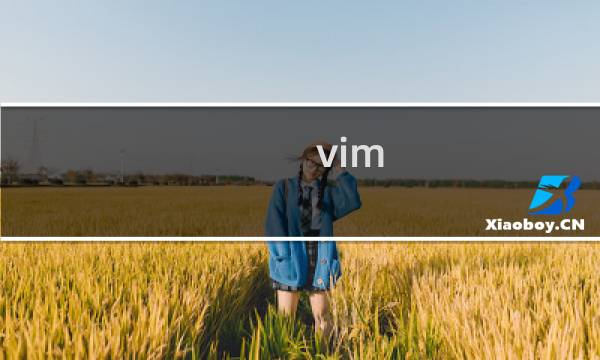 vim 怎么删除文件
