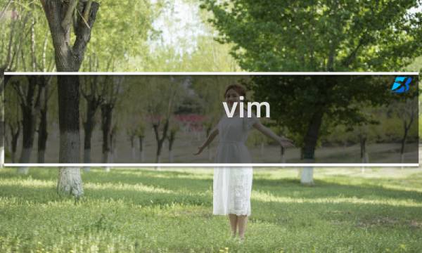vim 怎么整列加