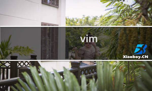 vim 怎么编辑保存