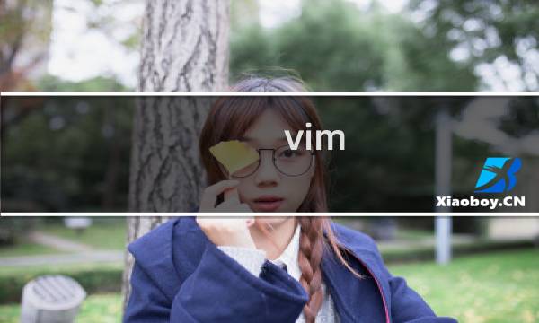 vim 文件模式