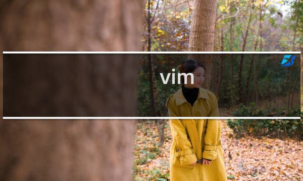 vim 最后一行