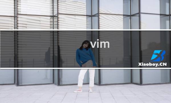vim 最小 匹配