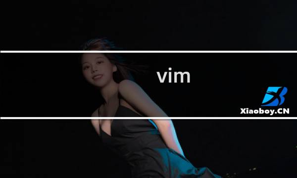 vim 界面设置