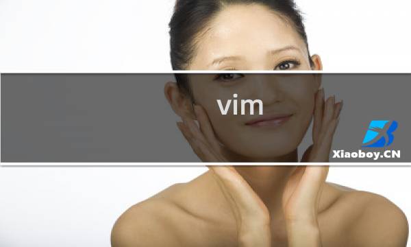 vim 菜单模式