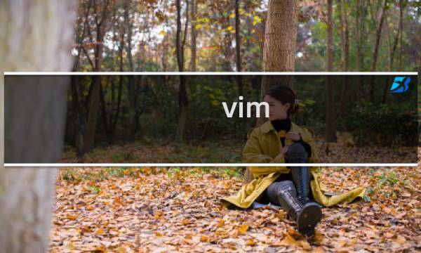 vim 进入命令模式