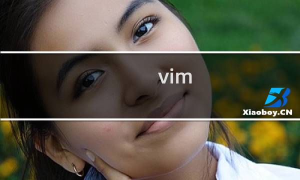 vim copy几行