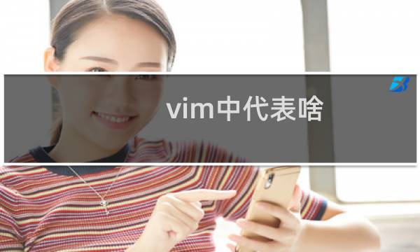 vim中代表啥