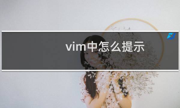 vim中怎么提示