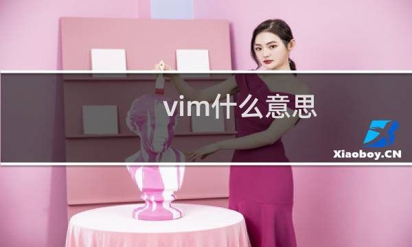 vim什么意思