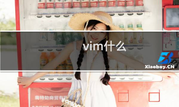 vim什么