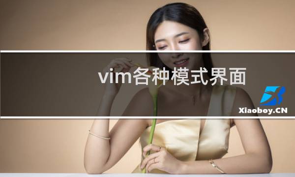 vim各种模式界面
