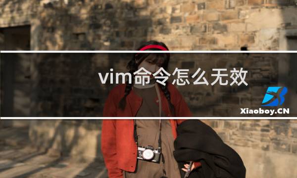 vim命令怎么无效