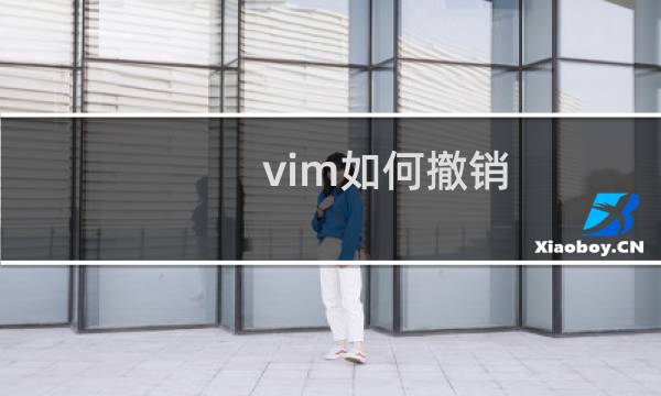 vim如何撤销