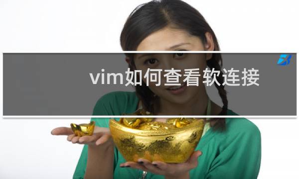 vim如何查看软连接