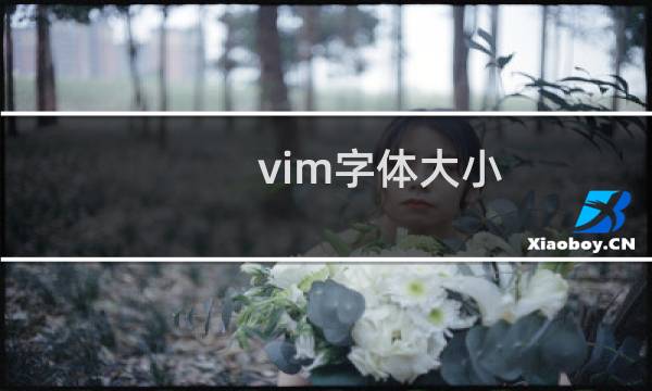 vim字体大小