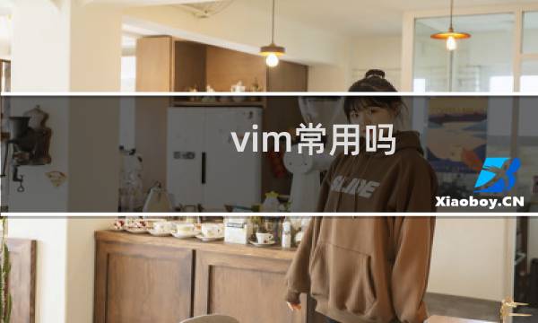 vim常用吗
