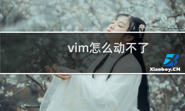 vim怎么动不了
