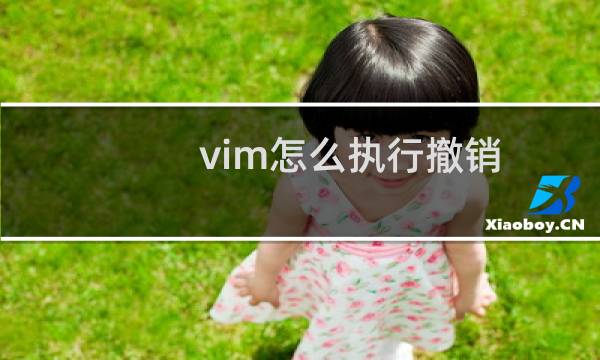 vim怎么执行撤销