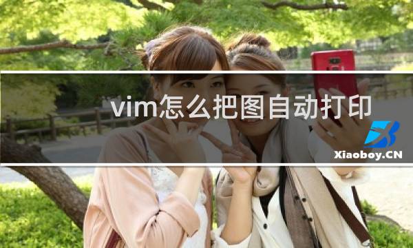 vim怎么把图自动打印