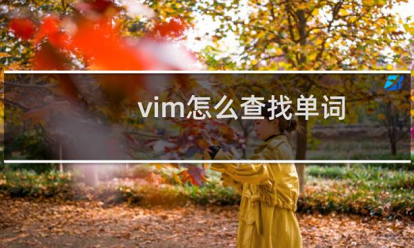 vim怎么查找单词