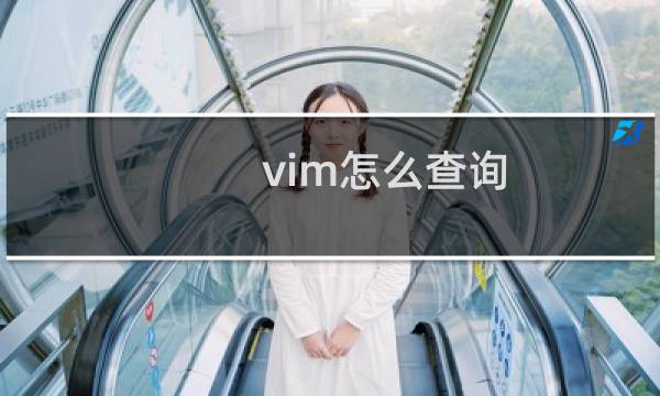 vim怎么查询