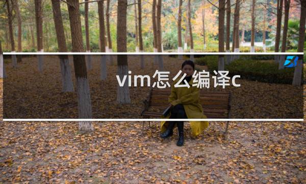 vim怎么编译c vim编写程序