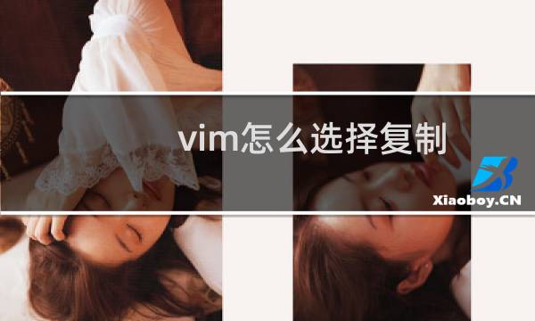 vim怎么选择复制