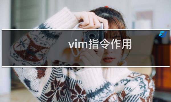 vim指令作用