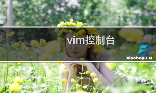 vim控制台