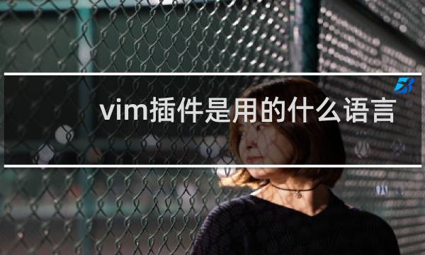 vim插件是用的什么语言