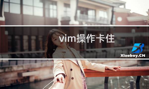 vim操作卡住