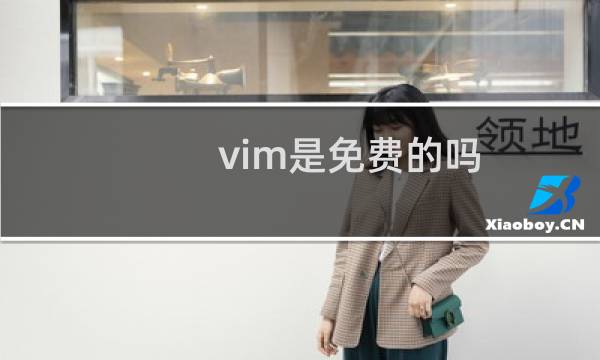 vim是免费的吗