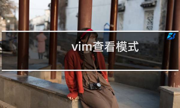 vim查看模式