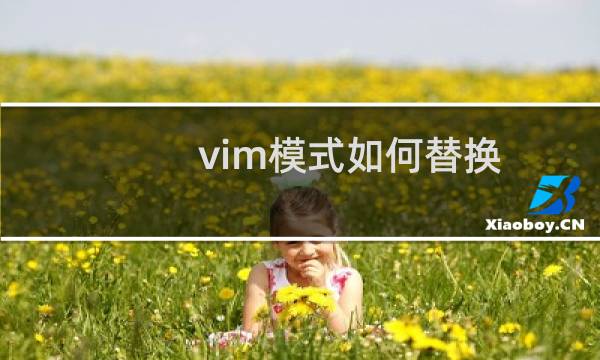 vim模式如何替换