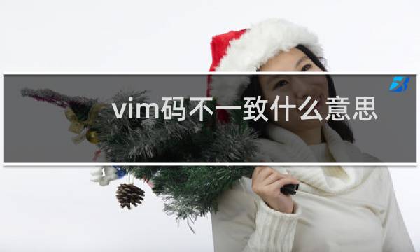 vim码不一致什么意思