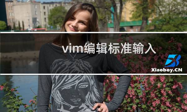 vim编辑标准输入