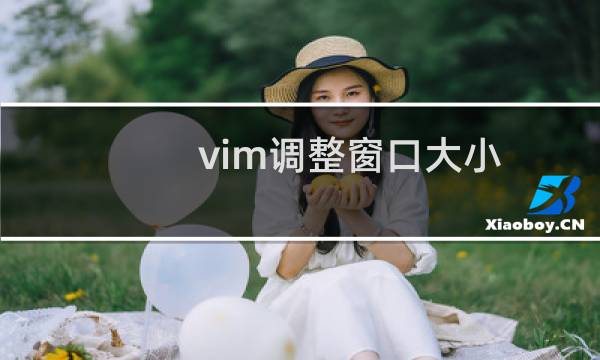 vim调整窗口大小