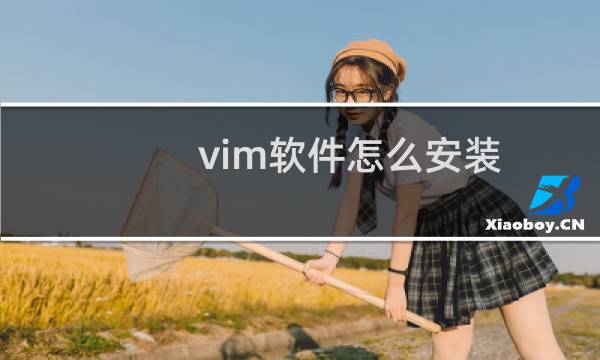 vim软件怎么安装