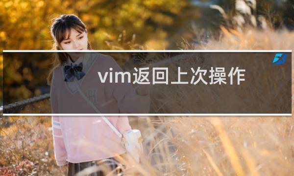 vim返回上次操作