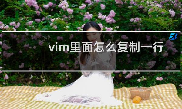 vim里面怎么复制一行