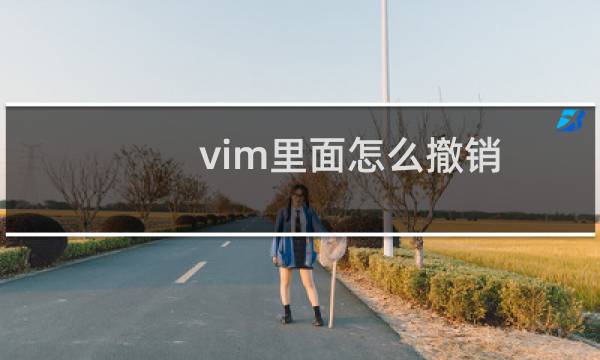 vim里面怎么撤销