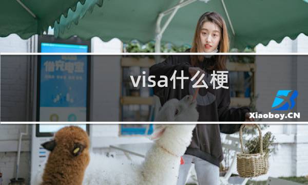 visa什么梗
