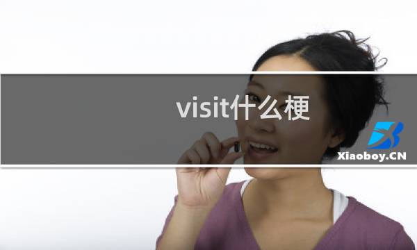 visit什么梗