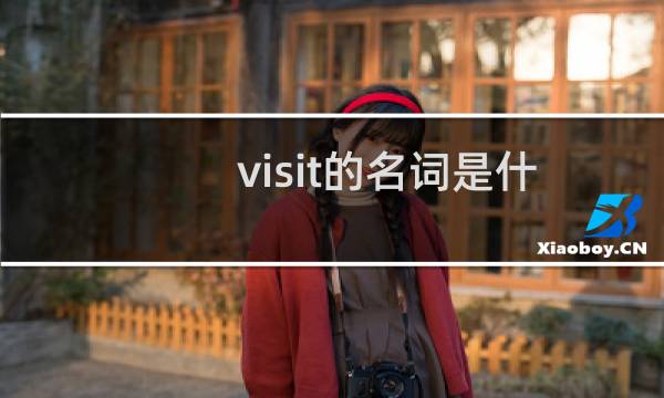 visit的名词是什么（visit的名词）图片