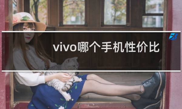 vivo哪个手机性价比好