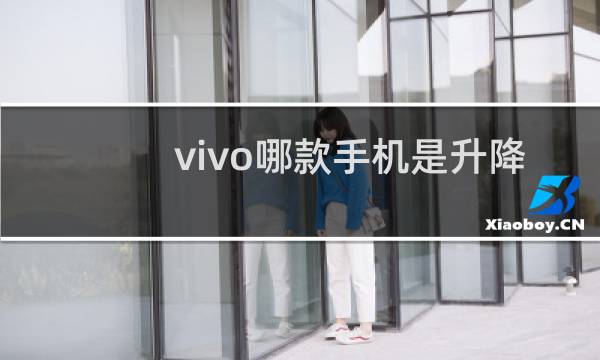 vivo哪款手机是升降摄像头