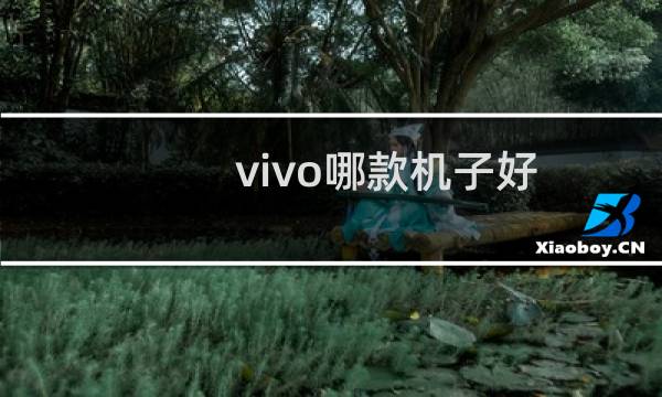 vivo哪款机子好